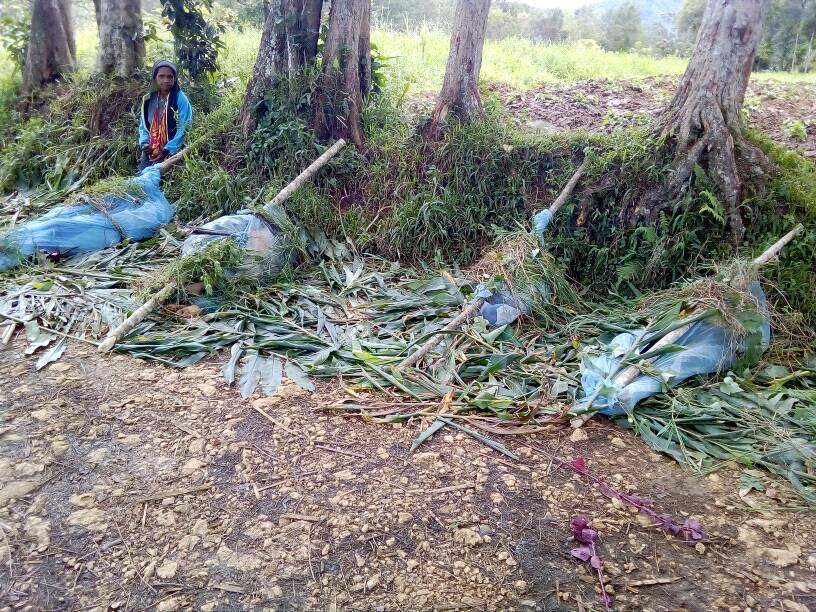The Massacre of 23 Women and 9 Children in the Hela Province of Papua New Guinea