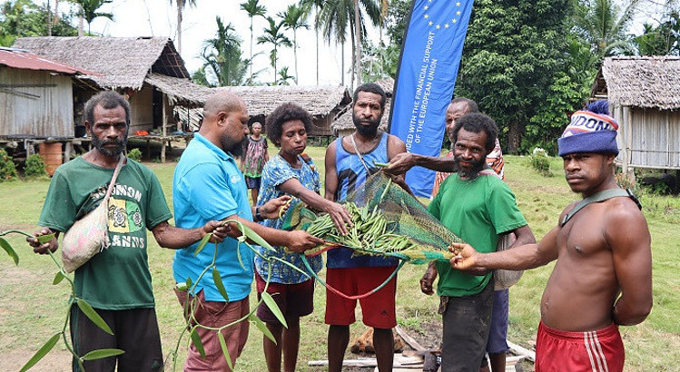 The EU-STREIT PNG Provides Technical Support to Vanilla Farmers in Papua New Guinea