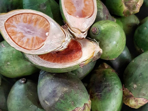 The first heart attack case in Papua New Guinea happened in 1972, caused by Chewing of Betel Nut