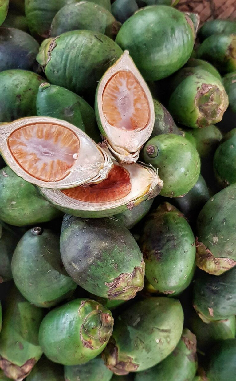 To avoid heart attacks, frequently do (medical and health) check-ups, maintain a vegetable diet and avoid chewing betel nut with mustard and lime
