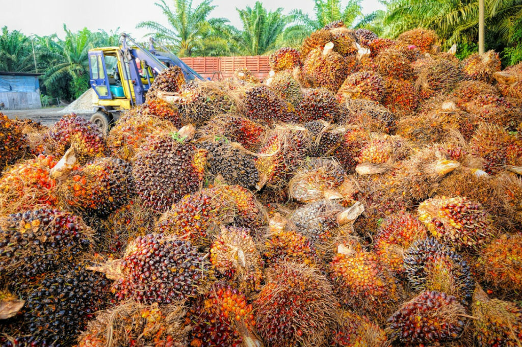 Papua New Guinea Palm Oil Company