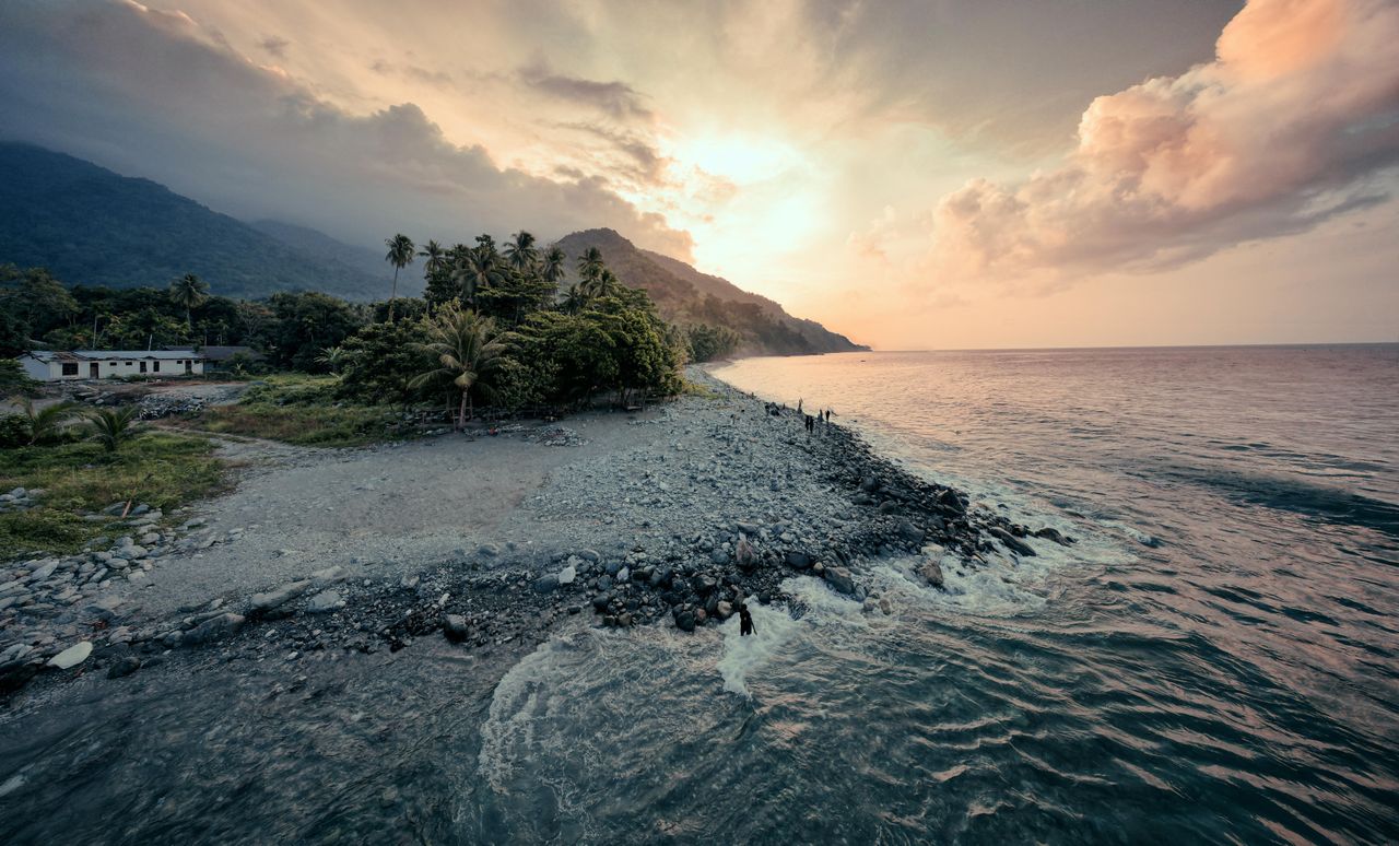the-story Tranquil coastal view featuring waves, lush greenery, and a vibrant sunset sky.